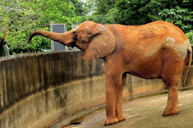 1_15012025mf16-44775960