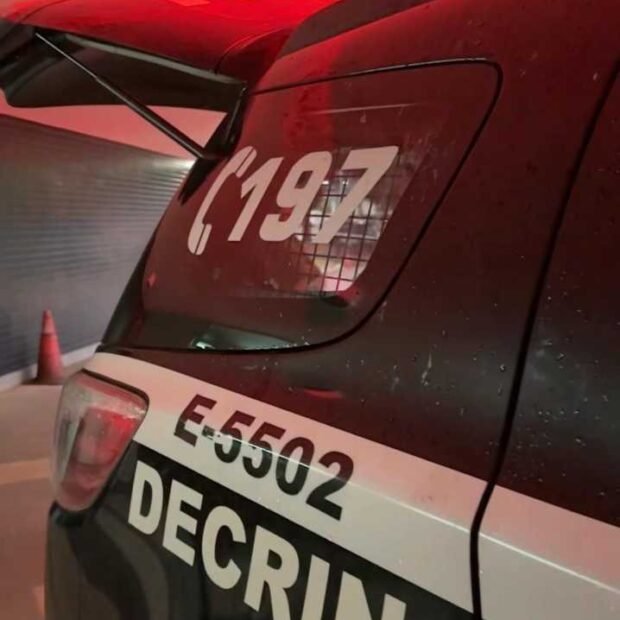 photo_2025-02-11_11-12-59-620x620