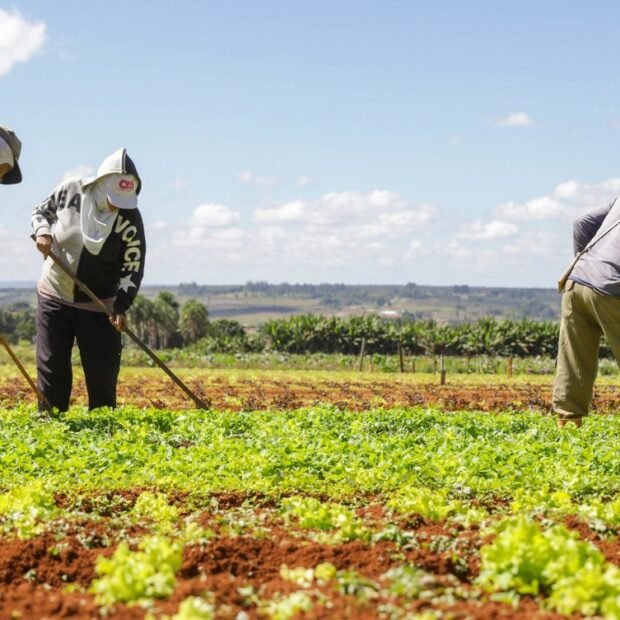 WhatsApp-Image-2025-03-11-at-13.50.35-620x620