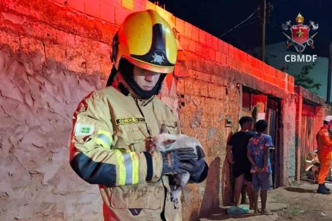 1_whatsapp_image_2025_05_25_at_22_39_21-52738995