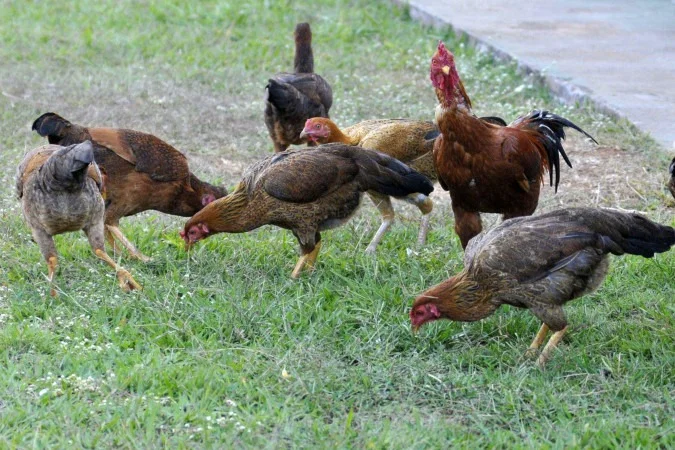 1_mj1306_13-54024467