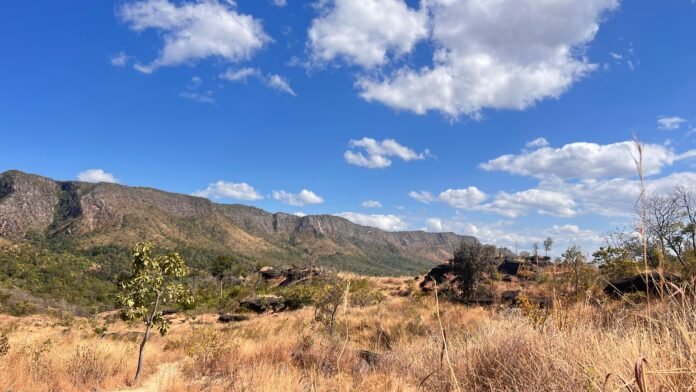 WhatsApp Image 2025-06-23 at 15.45.48