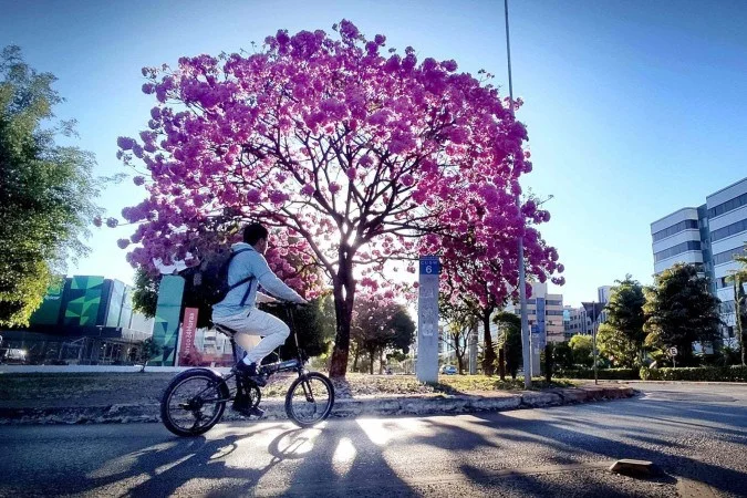 1_brasilia---turismo---12--58996624a-59121956