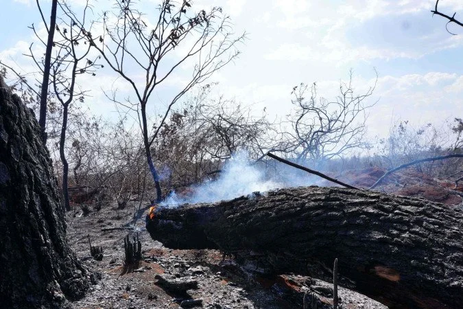 1_dsc09991-59077409 (1)