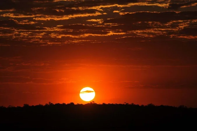 1_mj0509-17-59006136