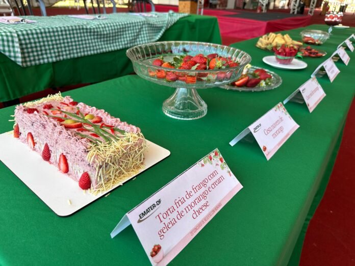 WhatsApp Image 2025-09-08 at 14.38.15