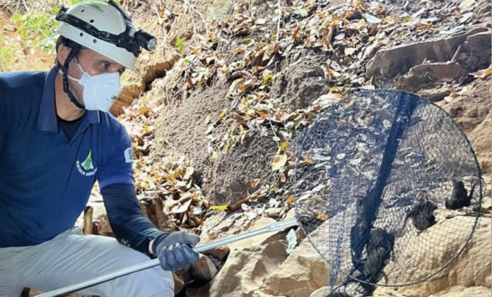 WhatsApp Image 2025-09-26 at 14.42.11 (1)