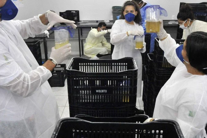 1_22102025mf23-60184971