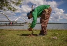 Propostas para o programa Recupera Cerrado II devem ser enviadas até o dia 30