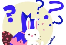 Páscoa sem surpresa ruim: veja como comprar despreocupado na data mais doce do ano