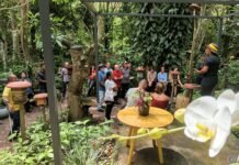 Curso capacita produtores na criação de abelhas nativas sem ferrão