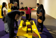 Programa Museu é o Mundo 2.0 atende 8,8 mil pessoas e amplia acesso à arte no DF