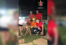 Bombeiros resgatam cadela presa em buraco em residência no Itapoã