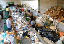 Coleta seletiva feita por cooperativas de catadores completa 10 anos no DF