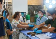 Zoo de Brasília divulga resultado preliminar de chamamento para serviços médico-veterinários