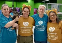 Adote um Aumigo: DF Plaza promove evento de adoção de cães e gatos