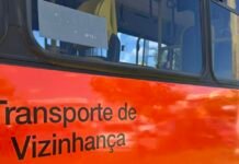 DF renova frota e amplia linhas de zebrinhas em quatro regiões