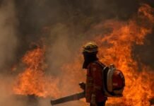 Bombeiros combatem mais de 600 incêndios florestais em agosto no DF