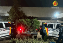 PMDF apreende 80 pés de maconha, “supermaconha” e espingardas no SIA