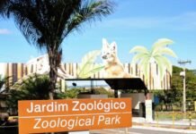 Zoológico de Brasília fecha no domingo, dia do 2º turno das eleições