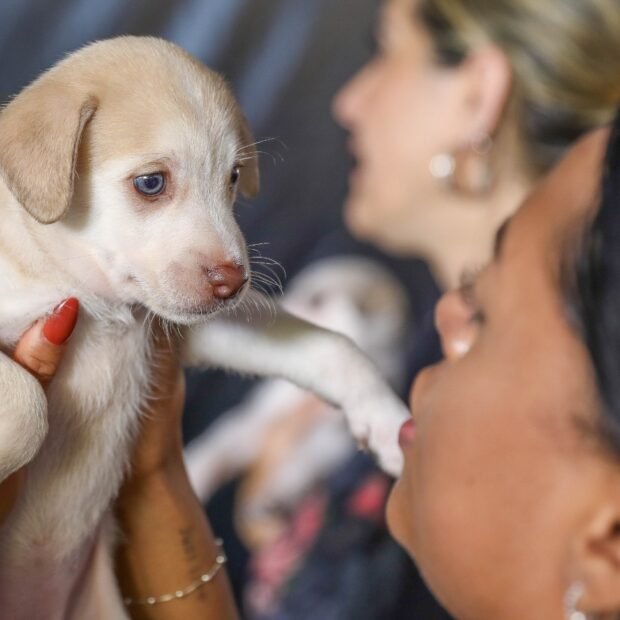 Joel-Rodrigues-Agencia-Brasilia-1-620x620