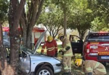 Motorista morre após carro bater contra árvore na BR-020