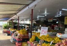 Feira de Planaltina une frescor, agricultura familiar e preços baixos no DF