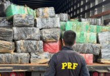 PRF e PCDF apreendem 3,5 toneladas de skunk em Goiás